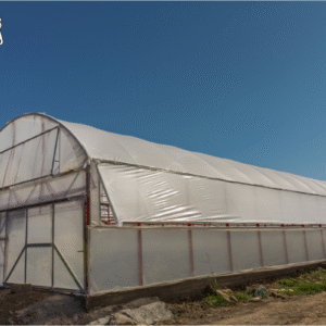 مثال لاسم المنتج